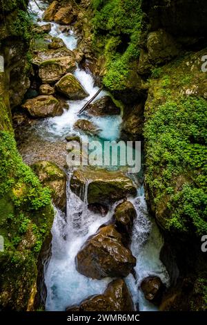 Incredibile paesaggio roccioso e canyon del fiume Soca nel parco nazionale dei monti Triglav, nel profondo delle Alpi slovene nascoste nella fitta vegetazione Foto Stock