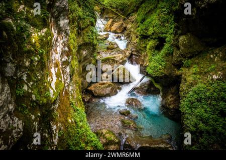 Incredibile paesaggio roccioso e canyon del fiume Soca nel parco nazionale dei monti Triglav, nel profondo delle Alpi slovene nascoste nella fitta vegetazione Foto Stock