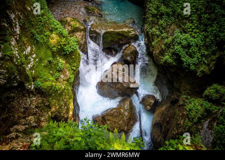 Incredibile paesaggio roccioso e canyon del fiume Soca nel parco nazionale dei monti Triglav, nel profondo delle Alpi slovene nascoste nella fitta vegetazione Foto Stock