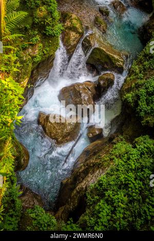 Incredibile paesaggio roccioso e canyon del fiume Soca nel parco nazionale dei monti Triglav, nel profondo delle Alpi slovene nascoste nella fitta vegetazione Foto Stock