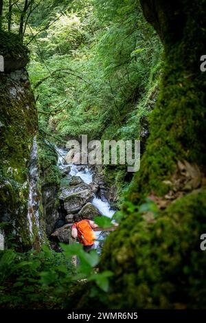 Turista femminile che osserva il canyon del fiume Soca dal punto panoramico sopra il canyon stona, coperto da una fitta foresta nel parco nazionale del fiume Soca, Sloven Foto Stock