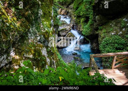 Incredibile paesaggio roccioso e canyon del fiume Soca nel parco nazionale dei monti Triglav, nel profondo delle Alpi slovene nascoste nella fitta vegetazione Foto Stock