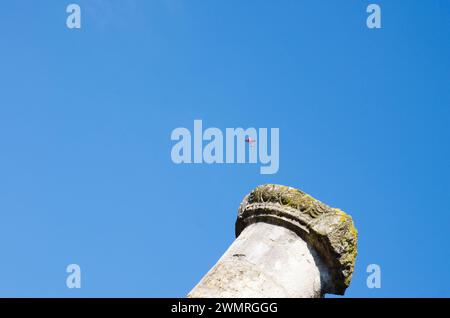 Altilia: In primo piano una colonna con capitale romana spicca contro il cielo azzurro mentre sullo sfondo passa un piccolo piano rosso - il Molise. Foto Stock