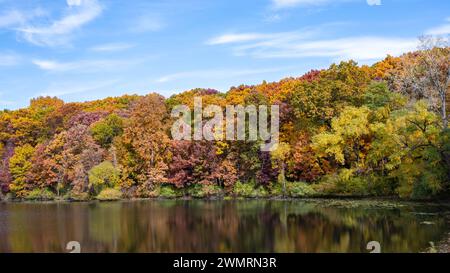 I colori autunnali si riflettono nel lago Heron, nel Lakeshore Trail, nell'area ricreativa di Holly, vicino a Holly, Michigan Foto Stock