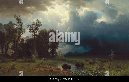 Bierstadt Albert - Buffalo Trail, The Incoming Storm (1869) Foto Stock