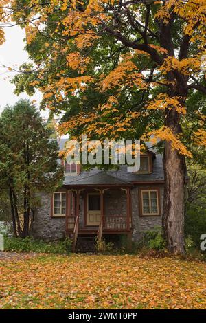 Vecchia casa a due piani degli anni '1800 con finiture gialle e Bordeaux e Acer giallo caduto - foglie d'acero su prato verde in autunno. Foto Stock