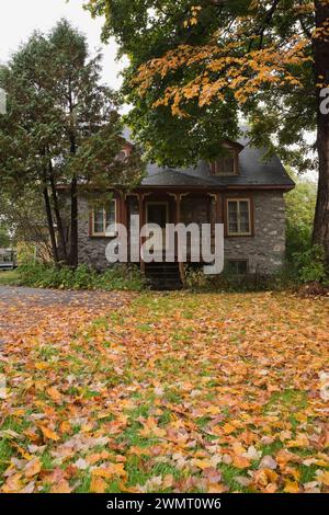 Vecchia casa a due piani degli anni '1800 con finiture gialle e Bordeaux e Acer giallo caduto - foglie d'acero su prato verde in autunno. Foto Stock