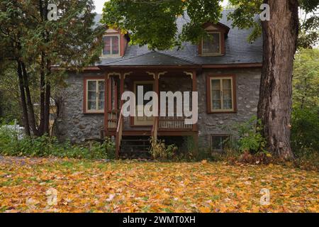 Vecchia casa a due piani degli anni '1800 con finiture gialle e Bordeaux e Acer giallo caduto - foglie d'acero su prato verde in autunno. Foto Stock