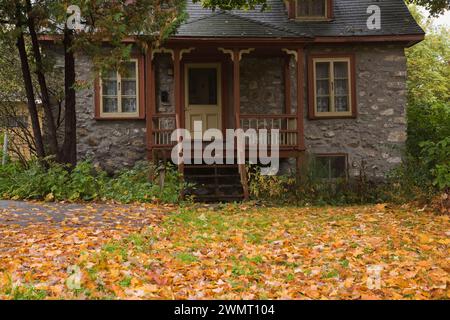 Vecchia casa a due piani degli anni '1800 con finiture gialle e Bordeaux e Acer giallo caduto - foglie d'acero su prato verde in autunno. Foto Stock