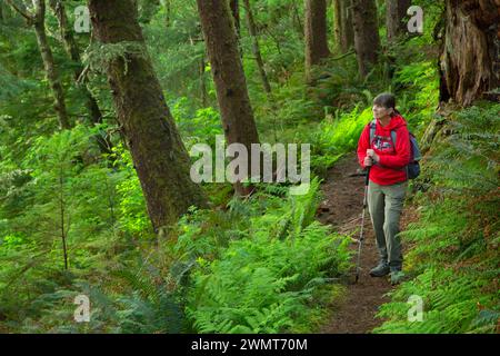 Amanda's Trail, Cape Perpetua Scenic Area, Siuslaw National Forest, Oregon Foto Stock