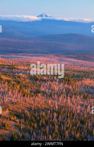 Vista di Mt Jefferson da Tam McArthur Rim Trail, tre sorelle deserto Deschutes National Forest, Oregon Foto Stock