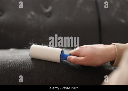 Spargimento di animali domestici. Uomo con rullo di lanugine che rimuove i capelli di cane dal divano, primo piano Foto Stock