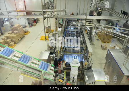 TAICANG, CINA - 27 FEBBRAIO 2024 - gli operai lavorano sulla linea di produzione del primo gelato al mondo "Lighthouse Network", il prodotto di Unilever Wall Foto Stock