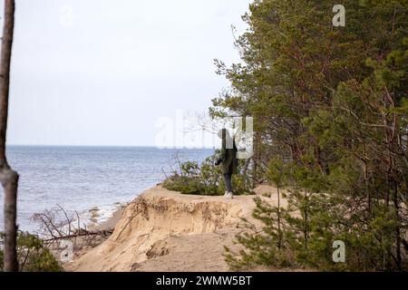 Una persona cammina lungo il bordo di una duna desolata sulla riva del Mar Baltico con alberi caduti in acqua Foto Stock