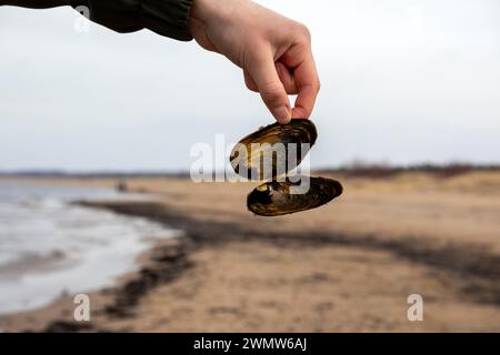 Dita di una mano che regge una conchiglia aperta bagnata dal mare sullo sfondo di una spiaggia Foto Stock