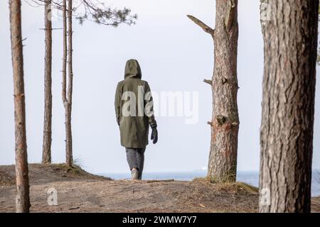 Una persona cammina lungo il bordo di una duna desolata sulla riva del Mar Baltico con alberi caduti in acqua Foto Stock