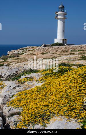 Faro di Cap Barbaria, Formentera, Isole Pitiusas, Comunità Balearica, Spagna Foto Stock