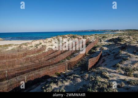 Barriere per la protezione delle dune, spiaggia di Llevant, Parco Naturale Ses Salines d’Eivissa i Formentera, Formentera, Isole Pitiusas, Comunità Baleari, Spagna Foto Stock