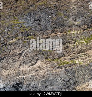 Superficie di roccia marina resistente agli agenti atmosferici. Sfondo della superficie delle pareti in pietra vulcanica invecchiata con crepe e graffi. Isola di Ischia, Italia. Foto Stock