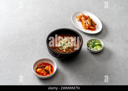 Piatto di cucina coreana: Gukbap di manzo, maiale bollito, manzo, yukgyejang, contorni Foto Stock