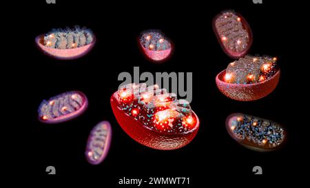 I mitocondri sono gli organelli responsabili della produzione dell'energia necessaria per la crescita e la riproduzione della cellula. rendering 3d. Foto Stock