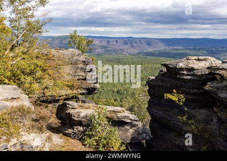 Nationalpark Sächsische Schweiz Bilder aus dem Elbsandsteingebirge Foto Stock