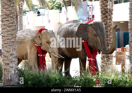 Sakhir, Bahrein. 28 febbraio 2024. Atmosfera Paddock - elefanti. Campionato del mondo di Formula uno, Rd 1, Gran Premio del Bahrain, mercoledì 28 febbraio 2024. Sakhir, Bahrein. Crediti: James Moy/Alamy Live News Foto Stock