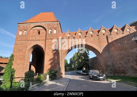 Castello di Toruń o castello di Thorn dell'ordine Teutonico situato in Polonia Foto Stock