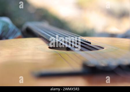 Una chitarra con cordoncino di nylon si appoggia delicatamente su uno sfondo di lussureggiante fogliame e la sua superficie lucida risplende dolcemente nella luce solare soffusa che filtra attraverso Foto Stock