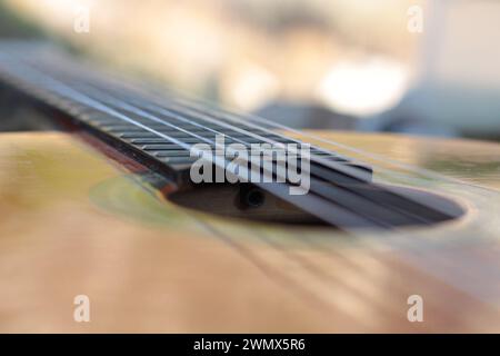 Una chitarra con cordoncino di nylon si appoggia delicatamente su uno sfondo di lussureggiante fogliame e la sua superficie lucida risplende dolcemente nella luce solare soffusa che filtra attraverso Foto Stock