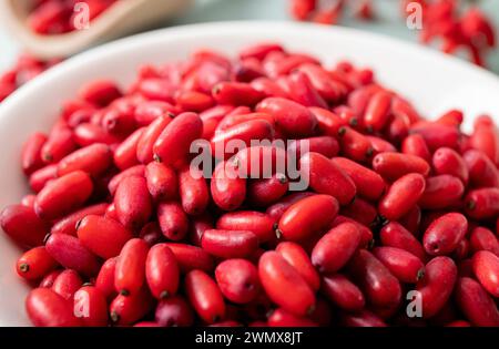 Mucchio di bacche di Berberis vulgaris noto anche come Barberry comune, Barberry europeo o Barberry su piatto nella cucina di casa. Frutta medicinale a base di erbe commestibile Foto Stock