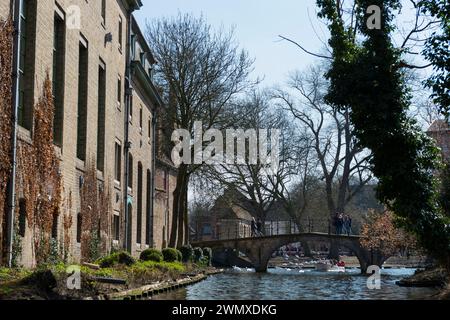 Ponte sul Minnewater, gita in città, UNESCO, religioso, religione, città vecchia, Fiandre occidentali, Fiandre, Medioevo, metropoli commerciale, tessile Foto Stock