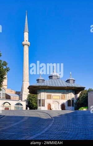 Hagia Sophia, la moschea di Istanbul, Turchia Foto Stock