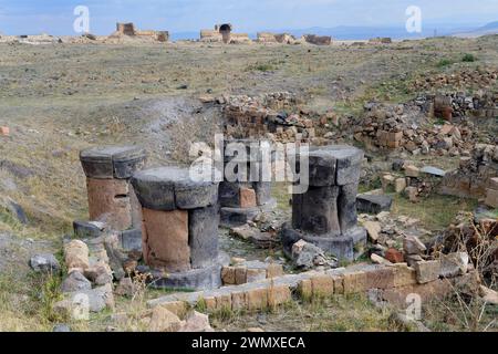 Colonne del tempio del fuoco zoroastriano, sito archeologico Ani, Kars, Turchia Foto Stock