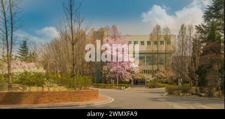 Un bellissimo campus universitario con alberi di ciliegio in fiore e architettura moderna, a Daejeon, Corea del Sud Foto Stock