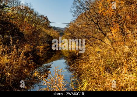 Paesaggio autunnale di piccolo fiume di montagna fiancheggiato da alberi e erba alta, in Corea del Sud Foto Stock