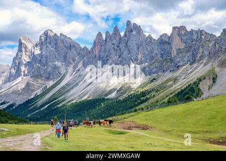 Escursionisti e cavalli su un prato d'alpeggio sulle montagne del gruppo Odle nelle Dolomiti, Ortisei, Val Gardena, Italia Foto Stock