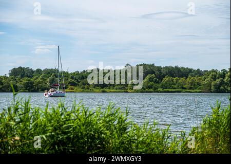 Una barca a vela scivola su un'acqua calma di fronte a una costa boscosa, Hooksieler Binnentief, Wangerland, bassa Sassonia Foto Stock