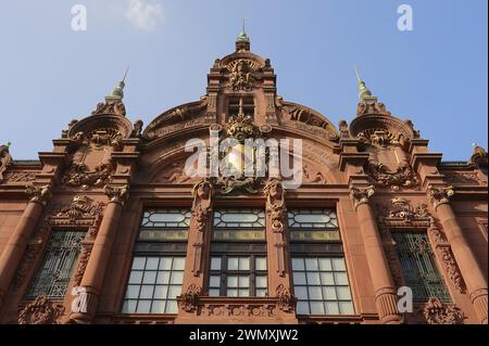 Biblioteca universitaria, Heidelberg, Baden-Wuerttemberg, Germania Foto Stock