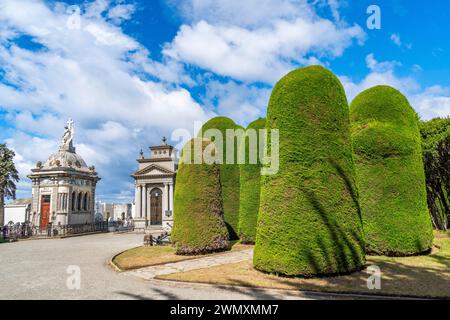 Tombe mausolei e cespugli rifilati, cimitero storico Cementerio Sara Braun, città di Punta Arenas, Patagonia, Cile Foto Stock