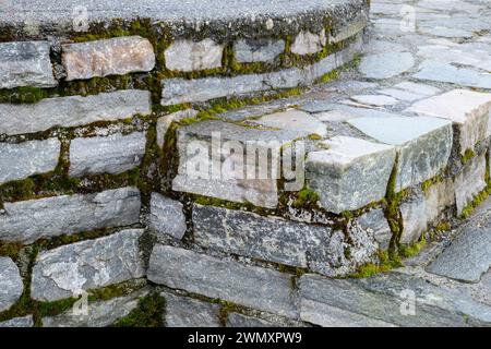 Primo piano di gradini in pietra con crescita del muschio, evidenziando texture e motivi. Foto Stock