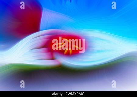 Design astratto di due forme a forma di mazza sovrapposte, con un oggetto simile a un fiore sopra e al centro di esse. Colori principali rosso, blu, verde. Foto Stock