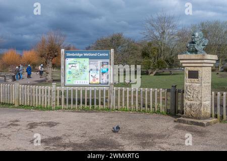 WWT Slimbridge Wetland Centre, vista della riserva naturale Wildfowl and Wetlands Trust e attrazione turistica nel Gloucestershire, Inghilterra, Regno Unito Foto Stock