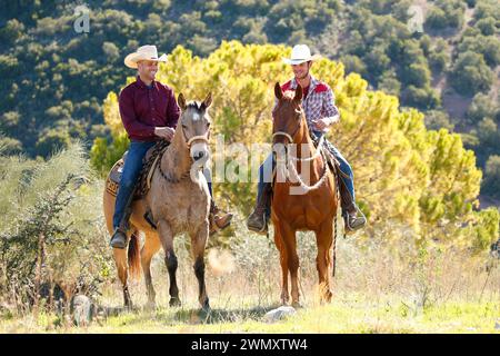 Due Cowboys che cavalcano i loro Quarterhorse nell'entroterra. Andalusia, Spagna Foto Stock