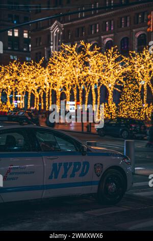 La polizia di New York Foto Stock