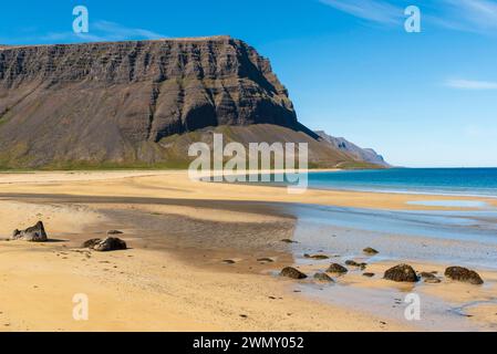 Islanda, Westfjords, regione di Vestfirdir, Reykjafjordur, spiaggia di sabbia bianca tra Bildudalur e Selardalur Foto Stock