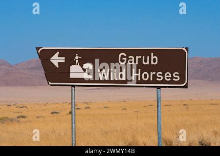 Cavallo del deserto del Namib (Equus ferus caballus). Segnale stradale. Deserto del Namib, Naukluft National Park, Namibia Foto Stock