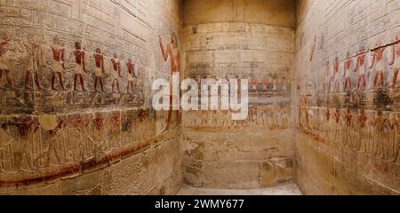 Egitto, Cairo, Saqqara, Menfi e la sua necropoli, i campi piramidali da Giza a Dahshur, patrimonio dell'umanità dell'UNESCO, la tomba di Kagemni Foto Stock