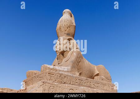 Egitto, Assuan, monumenti nubiani da Abu Simbel a file, patrimonio dell'umanità dell'UNESCO, tempio Wadi al Sebua, sfinge con testa Ramses II Foto Stock