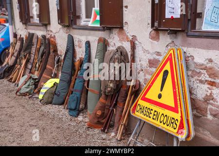 Francia, Alsazia, foresta del Reno, caccia alla caccia grossa, fucili e piano di caccia Foto Stock